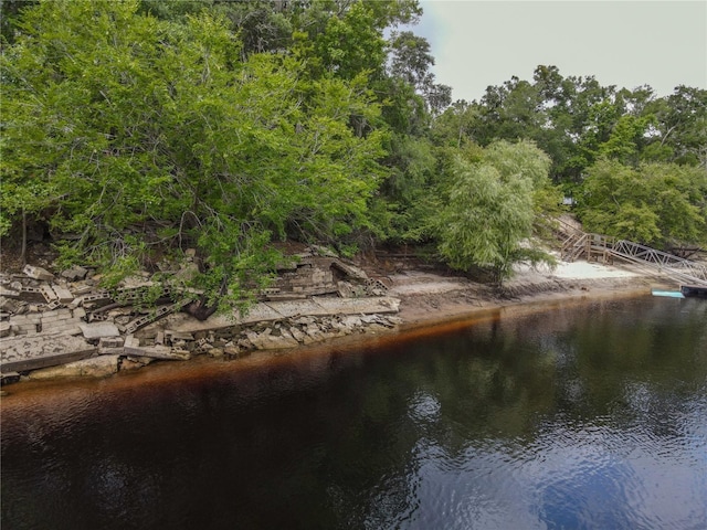 148 SE Riverside W Dr, Branford, FL 32008 - photo 15