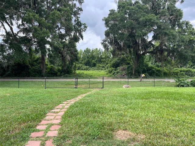 16431 NW US Highway 441, Alachua, FL 32615 - view of yard