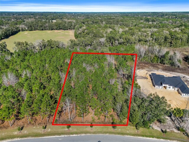 2559 NW 150th Blvd, Newberry, FL 32669 - photo 12
