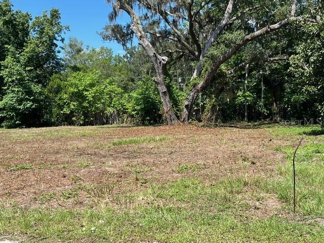 2502 NE 70th St, Gainesville, FL 32609 - photo 4
