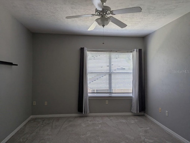 13200 W Newberry Rd Unit P87, Newberry, FL 32669 - photo 24