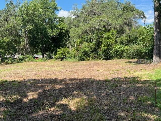 2404 NE 70th St, Gainesville, FL 32609 - photo 3