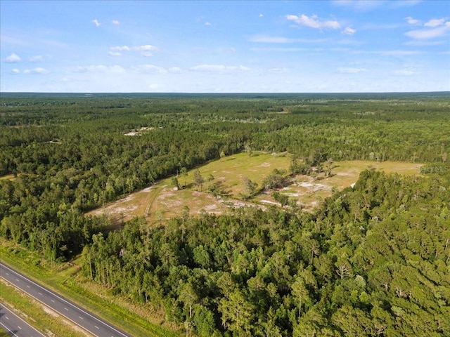 13575 SE US Highway 301, Hawthorne, FL 32640