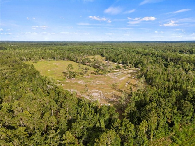 13575 SE US Highway 301, Hawthorne, FL 32640