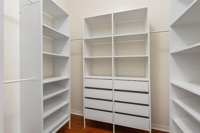 10303 SW 21st Ave, Gainesville, FL 32607 - walk in closet featuring dark wood-style floors