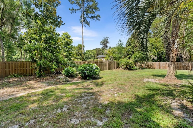 10303 SW 21st Ave, Gainesville, FL 32607 - view of yard