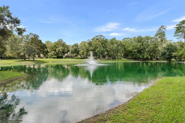 10303 SW 21st Ave, Gainesville, FL 32607 - water view featuring a tree filled landscape
