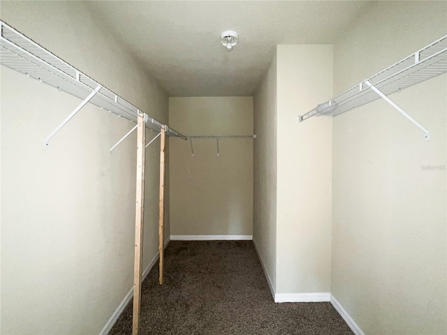 14282 NW 163rd Pl, Alachua, FL 32615 - photo 24