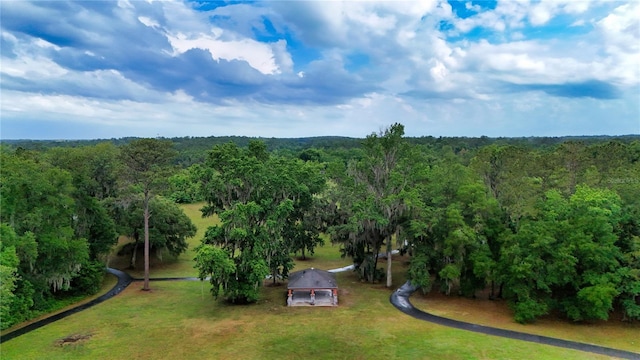 3940 SE 5th Ave, Ocala, FL 34480 - photo 51