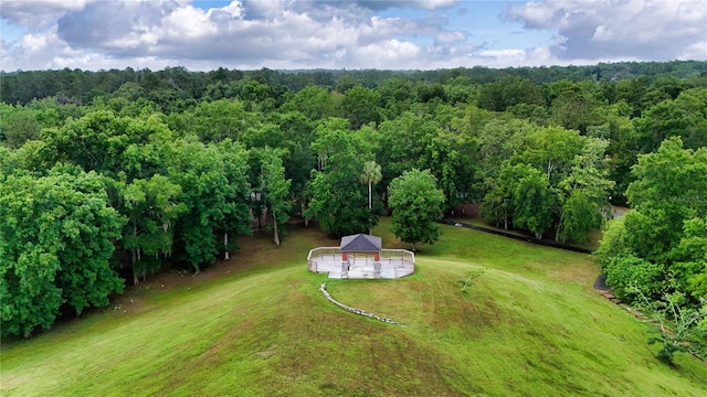 3940 SE 5th Ave, Ocala, FL 34480 - photo 4