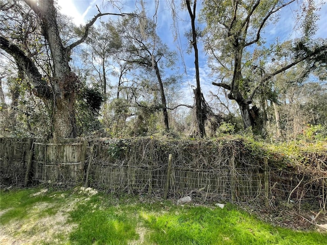 LOT1 NW 135th Ter, Alachua, FL 32615 - photo 5