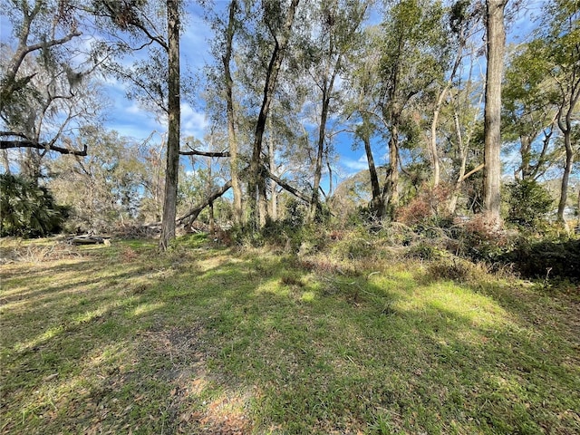 LOT2 NW 135th Ter, Alachua, FL 32615 - photo 1