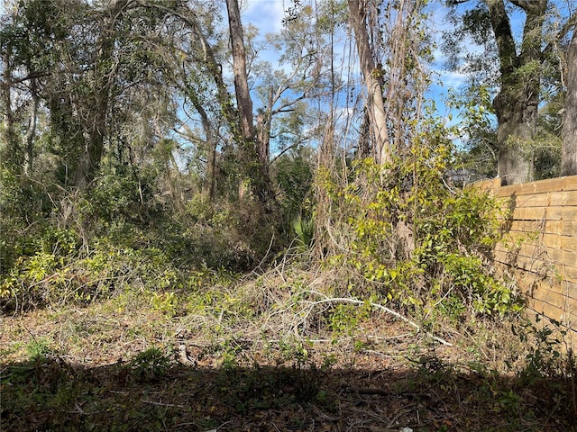 LOT2 NW 135th Ter, Alachua, FL 32615 - photo 2