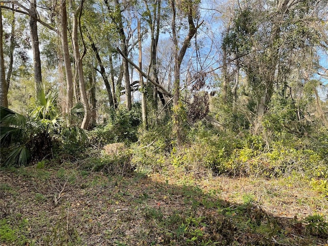 LOT2 NW 135th Ter, Alachua, FL 32615 - photo 3