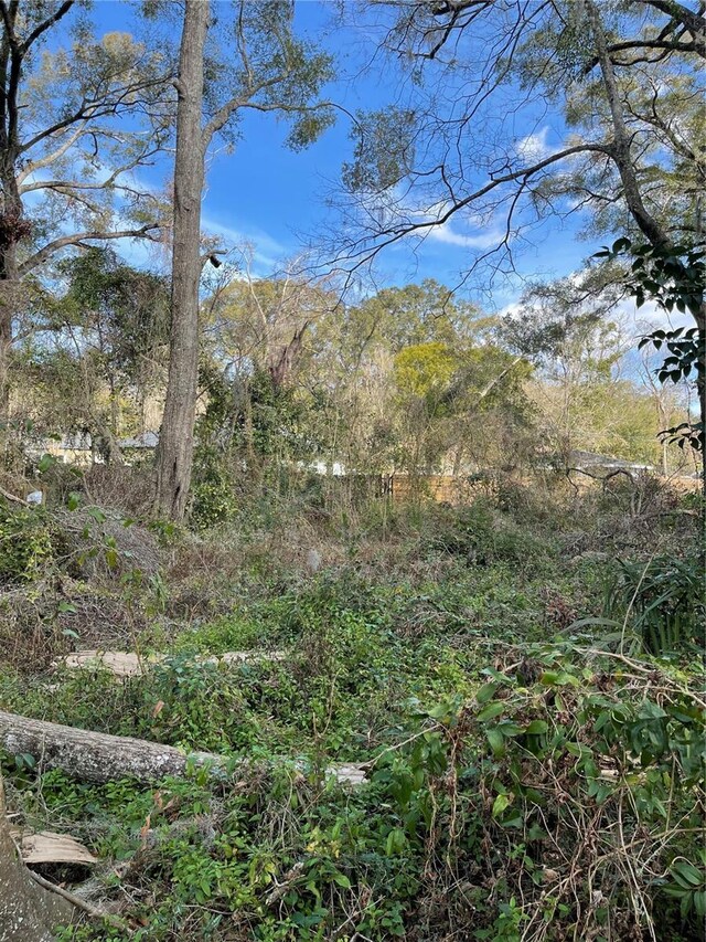 LOT2 NW 135th Ter, Alachua, FL 32615 - photo 8