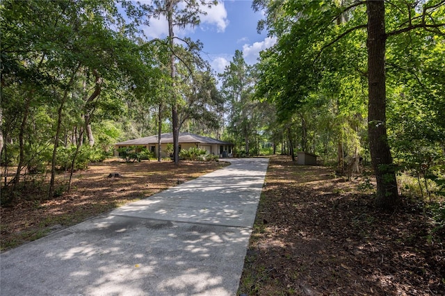 6425 NW 97th Ct, Gainesville, FL 32653 - surrounding community featuring concrete driveway