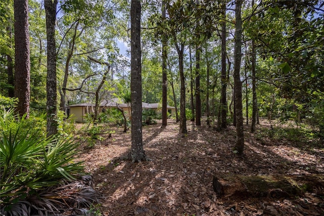 6425 NW 97th Ct, Gainesville, FL 32653 - view of undeveloped land