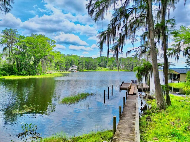 6027 Dogwood Ln, Melrose, FL 32666 - photo 4
