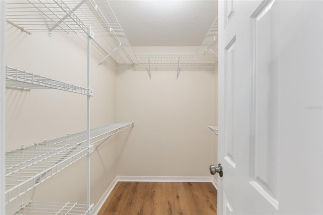 7127 SW 80th Way, Gainesville, FL 32608 - photo 38