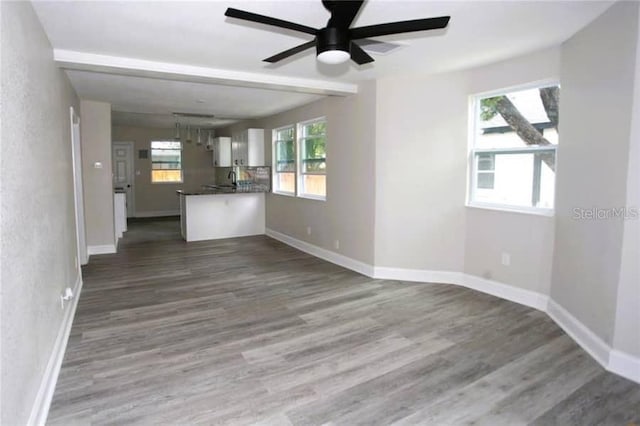 5117 16th Ave, Gulfport, FL 33707 - photo 4