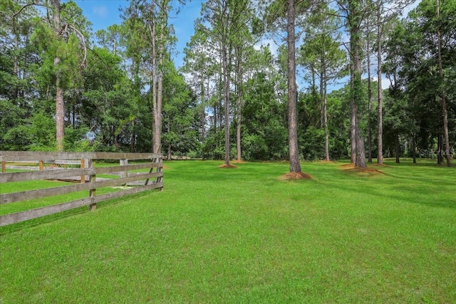 18028 NW 177th Ave, Alachua, FL 32615 - view of yard