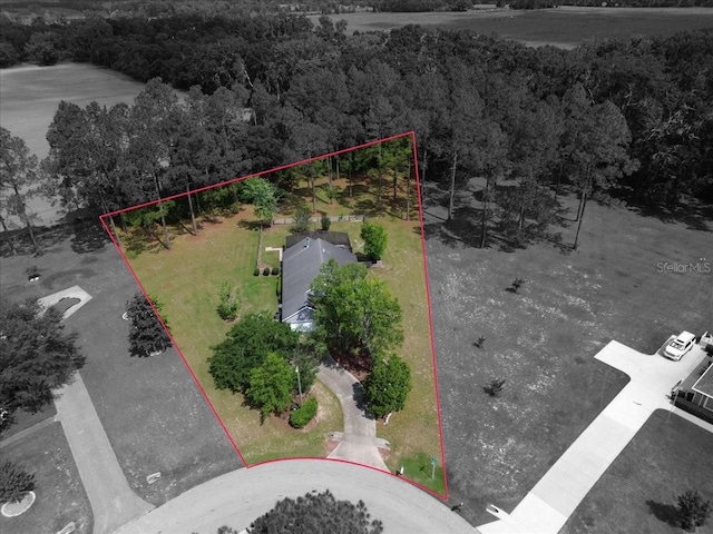 18028 NW 177th Ave, Alachua, FL 32615 - view of property location featuring a forest and property parcel outlined