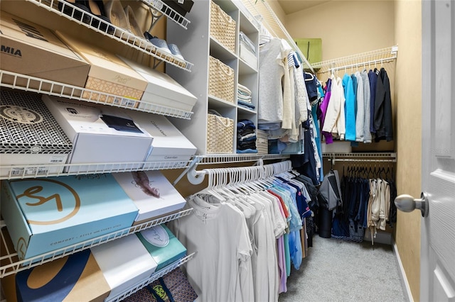 6516 NW 109th Pl, Alachua, FL 32615 - spacious closet featuring carpet floors