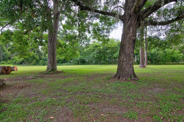18702 NW 94th Ave, Alachua, FL 32615 - photo 22
