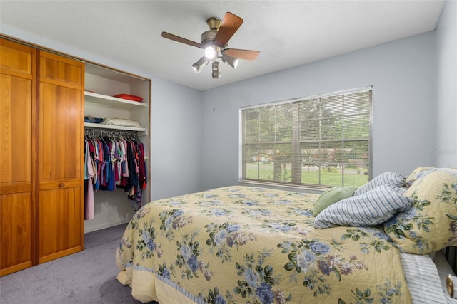 4925 NW 36th Dr, Gainesville, FL 32605 - photo 7