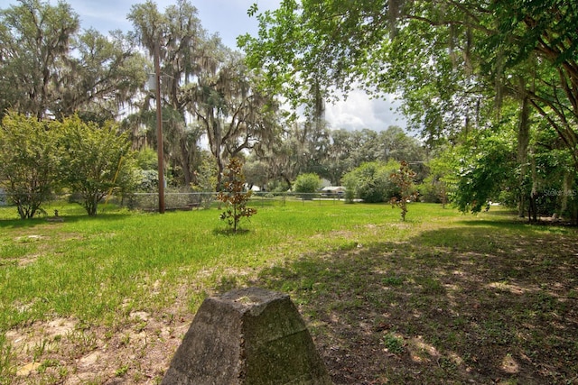 633 SW Magnolia Ave, Keystone Heights, FL 32656 - view of yard