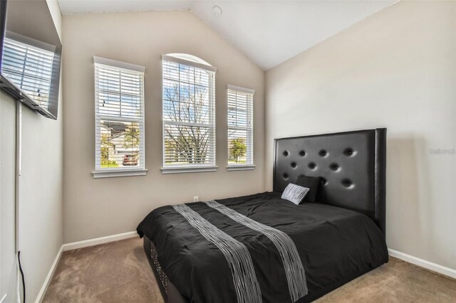 13201 Orca Sound Dr, Riverview, FL 33579 - bedroom featuring vaulted ceiling, carpet, and baseboards