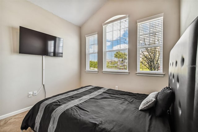 13201 Orca Sound Dr, Riverview, FL 33579 - bedroom featuring carpet flooring, lofted ceiling, and baseboards