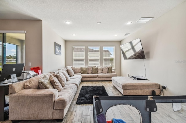 13201 Orca Sound Dr, Riverview, FL 33579 - living room featuring plenty of natural light, wood finished floors, a textured ceiling, and recessed lighting