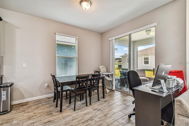 13201 Orca Sound Dr, Riverview, FL 33579 - home office featuring healthy amount of natural light, light wood-style floors, and baseboards