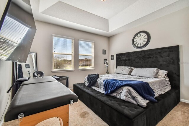 13201 Orca Sound Dr, Riverview, FL 33579 - bedroom featuring carpet