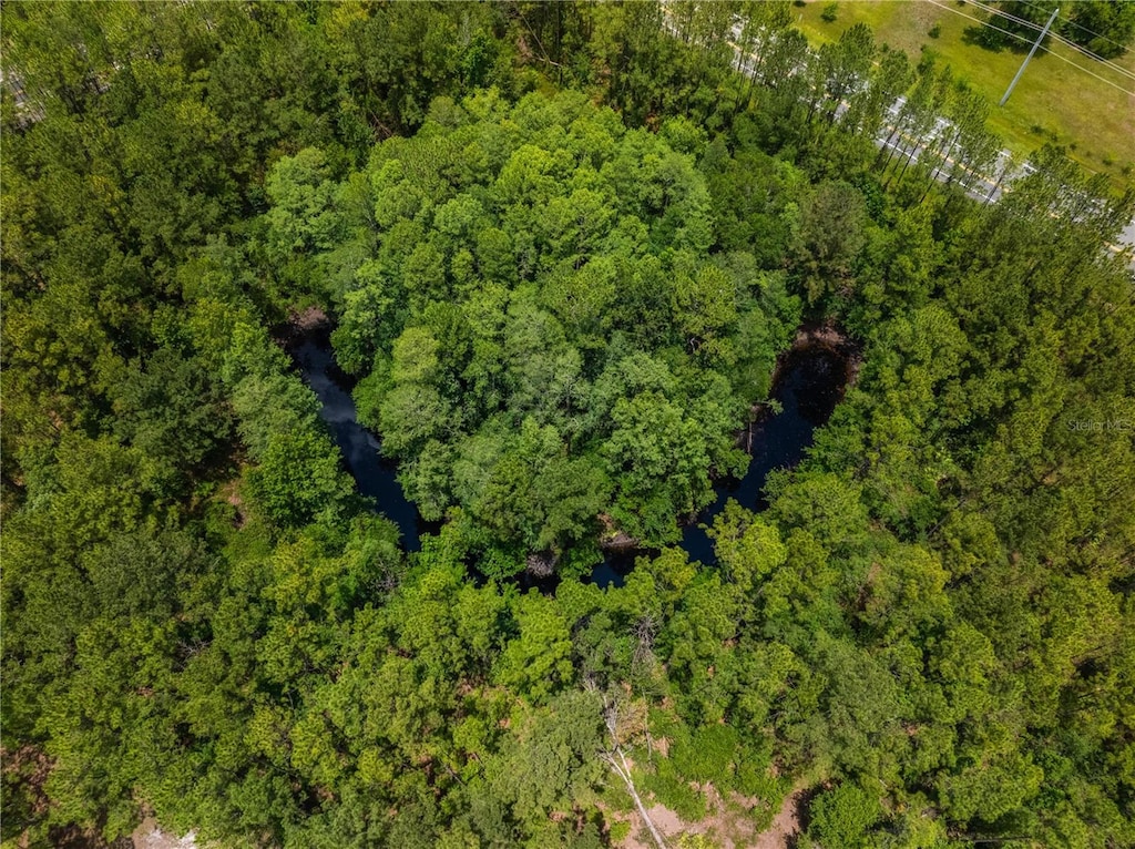 20399 SW State Road 235, Brooker, FL 32622 - photo 2