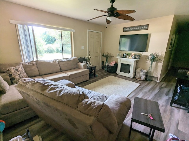 14230 SW 167th St, Archer, FL 32618 - living area with a ceiling fan, wood finished floors, and a fireplace