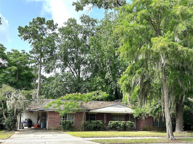 3725 NW 8th Ave, Gainesville, FL 32605 - single story home with driveway, an attached carport, and brick siding