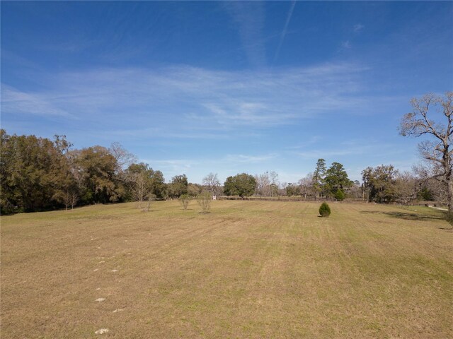18040 NW 258th St, High Springs, FL 32643 - photo 6