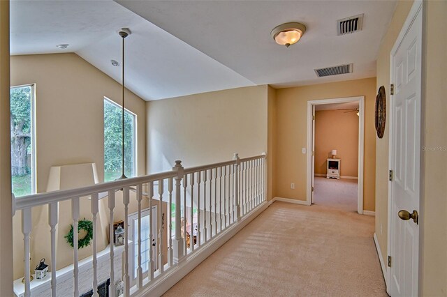 24203 NW 94th Ave, Alachua, FL 32615 - photo 38