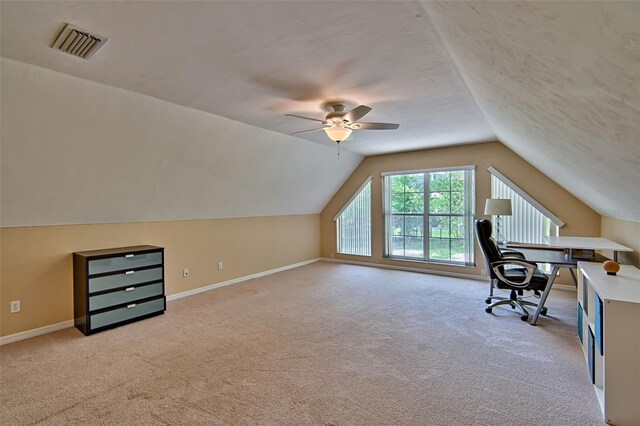 24203 NW 94th Ave, Alachua, FL 32615 - photo 43