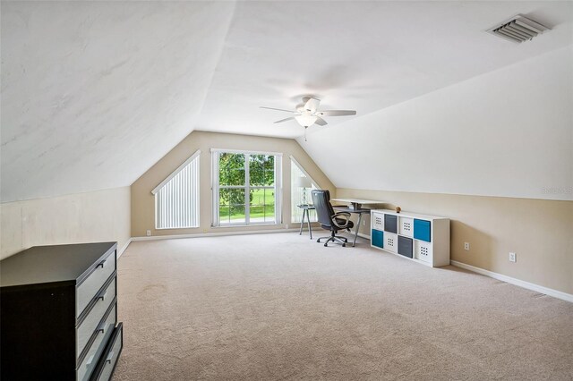 24203 NW 94th Ave, Alachua, FL 32615 - photo 44