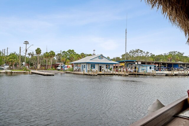 5222 S View Pt, Homosassa, FL 34448 - photo 37