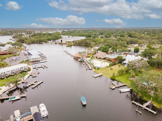 5222 S View Pt, Homosassa, FL 34448 - photo 38