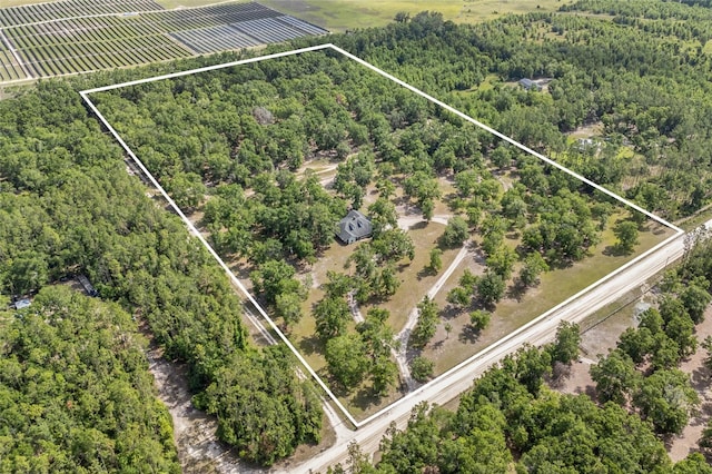 1827 SW Shiloh St, Fort White, FL 32038 - view of property location featuring property boundaries highlighted