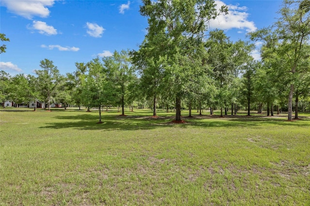 1827 SW Shiloh St, Fort White, FL 32038 - view of property's community with a lawn