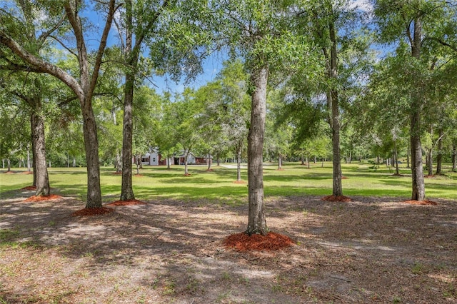 1827 SW Shiloh St, Fort White, FL 32038 - view of community with a yard