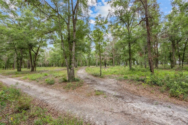 1827 SW Shiloh St, Fort White, FL 32038 - view of street featuring a view of trees