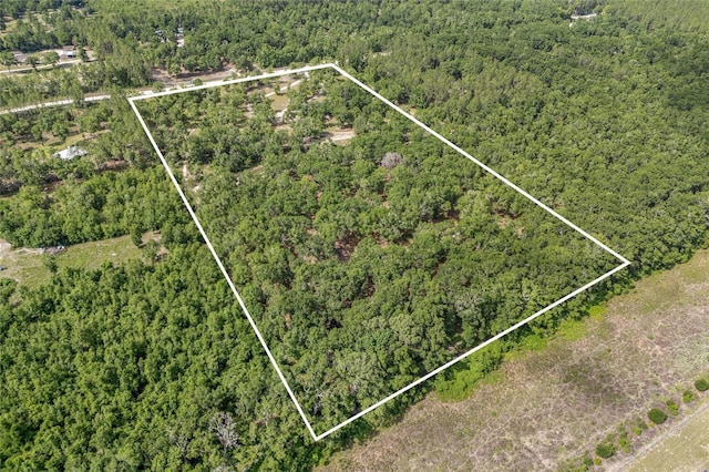 1827 SW Shiloh St, Fort White, FL 32038 - aerial view of property and surrounding area with a forest and property boundaries highlighted