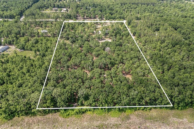 1827 SW Shiloh St, Fort White, FL 32038 - aerial view of property and surrounding area featuring a forest and property parcel outlined